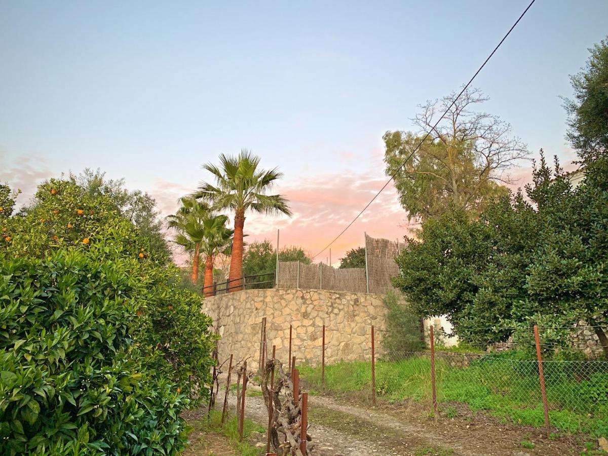 Vivelorural Casa Y Piscina En Zahara De La Sierra Βίλα Εξωτερικό φωτογραφία