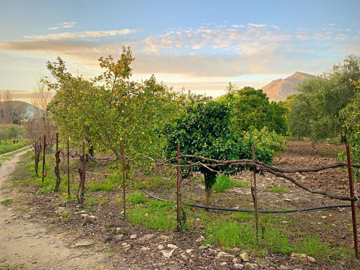 Vivelorural Casa Y Piscina En Zahara De La Sierra Βίλα Εξωτερικό φωτογραφία
