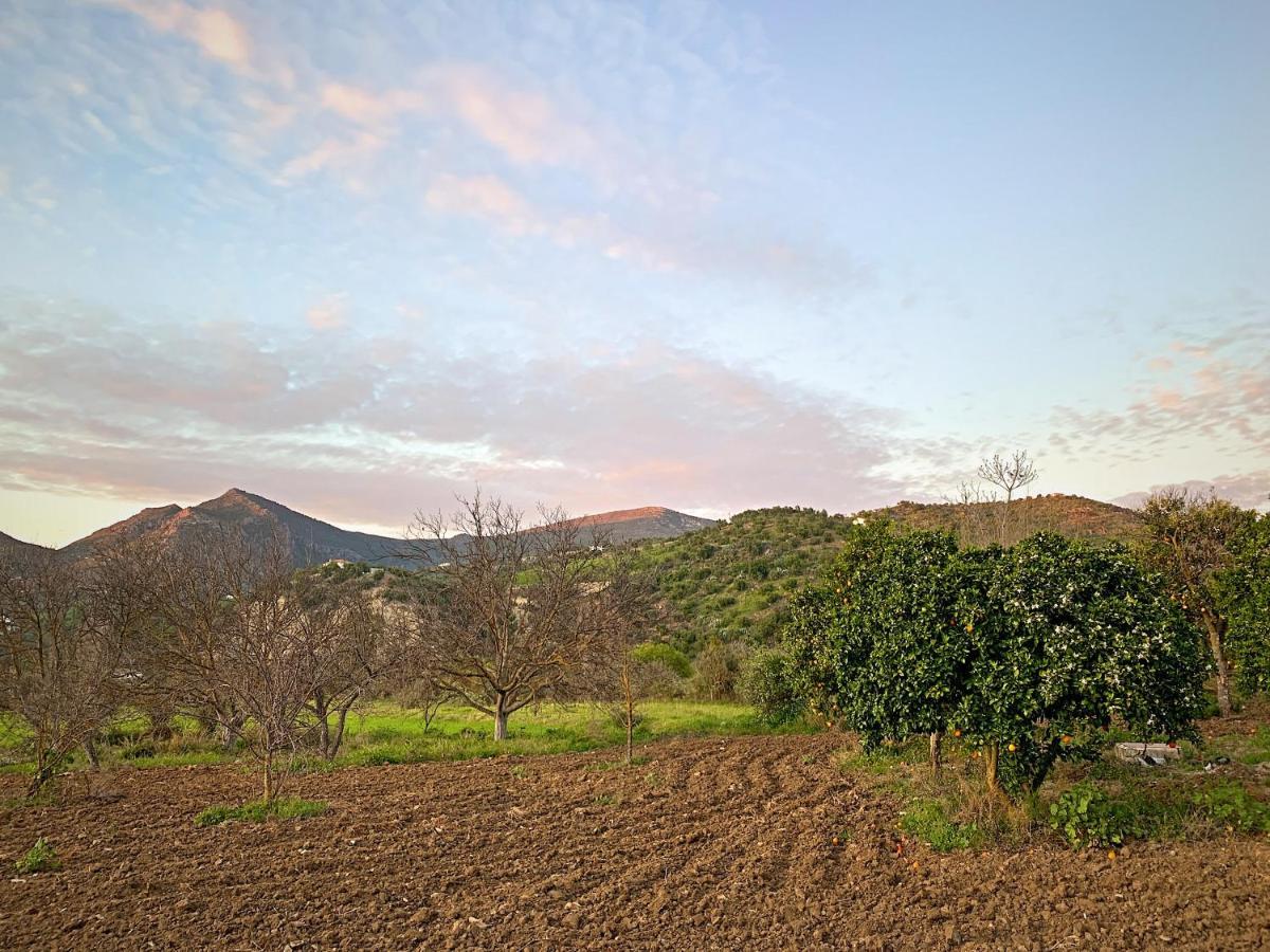 Vivelorural Casa Y Piscina En Zahara De La Sierra Βίλα Εξωτερικό φωτογραφία