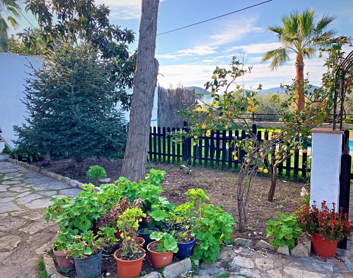 Vivelorural Casa Y Piscina En Zahara De La Sierra Βίλα Εξωτερικό φωτογραφία